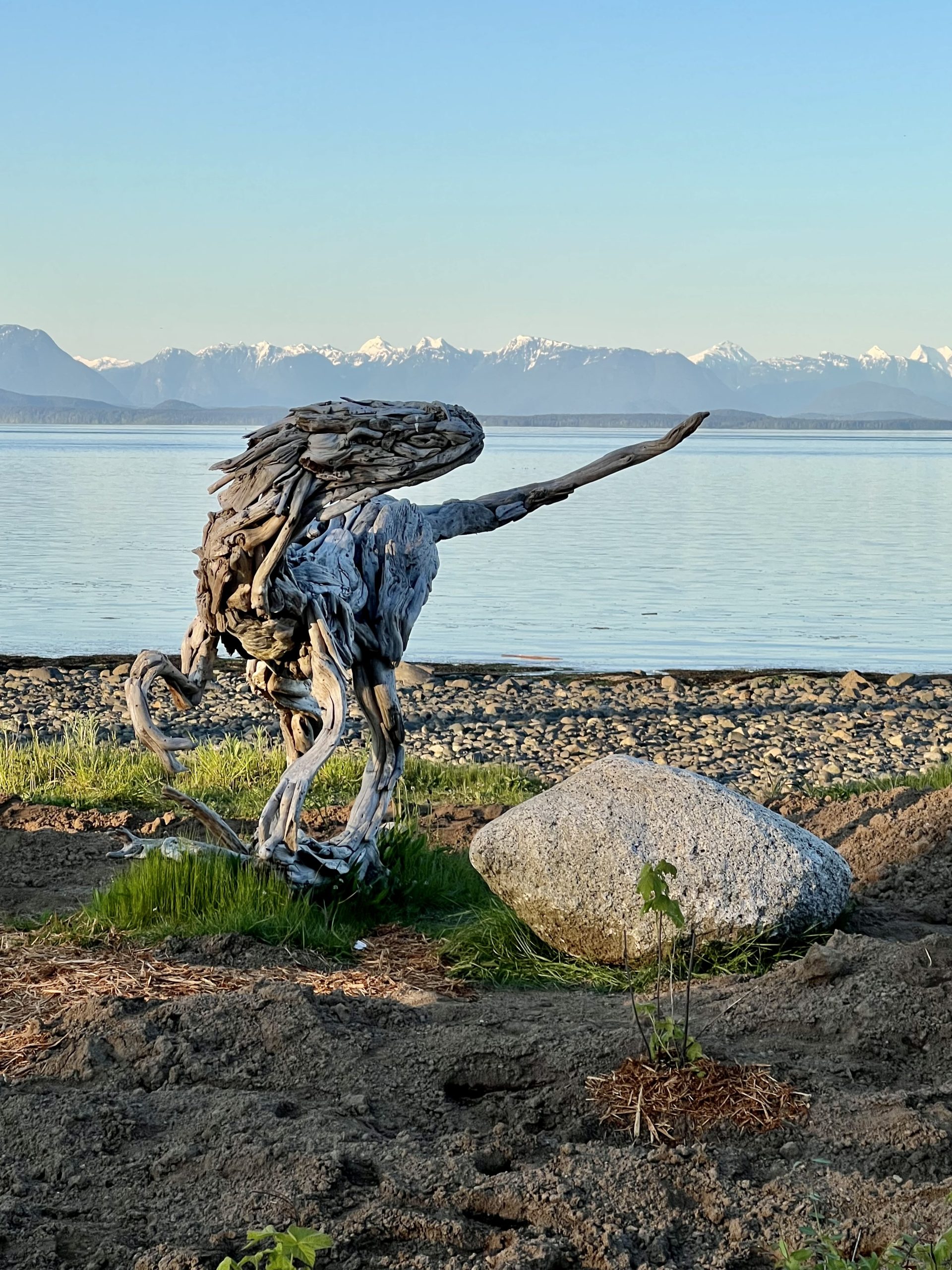 Driftwood art Campbell River Dinosaur